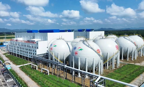 泰安用好关键一招，新材料技术驱动发展活力全面释放